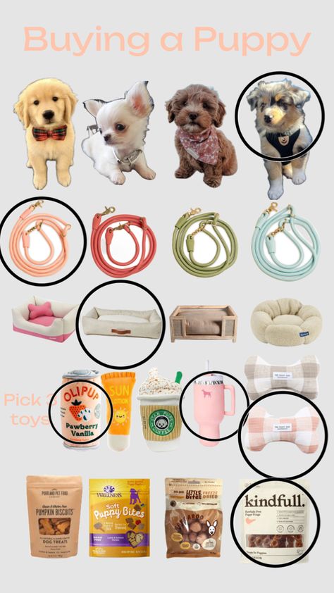 New Puppy Checklist, Puppy Biting, Puppy Accessories, Super Cute Puppies, Dog Essentials, Cute Animals Puppies, Animal Room, Puppy Supplies, Dog Care Tips