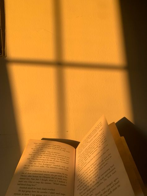 Golden Hour Book Aesthetic, Golden Asthetic Picture, Golden Aestethic, Golden Music Aesthetic, Golden Hour Instagram Pictures, Soft Golden Hour Aesthetic, Aesthetic Sunlight, Golden Hour Aesthetic, Sunlight Photography