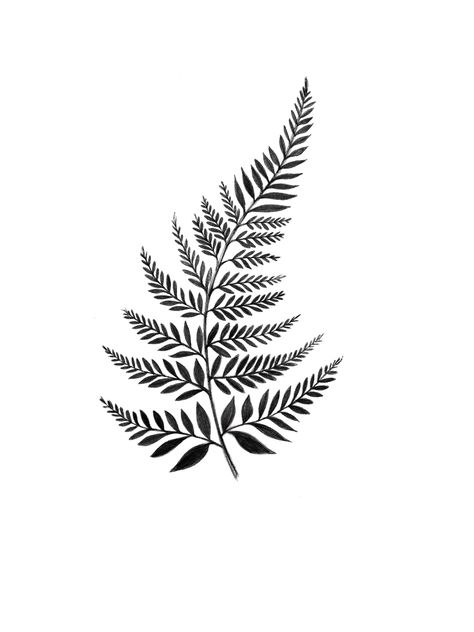 Fern Design Drawing, Leave Stencil, Fern Leaf Tattoo, Fern Tattoo Design, Tattoo Fern, Illusion Tattoo, Botanisches Tattoo, Abstract Tattoo Ideas, Optical Illusion Tattoos