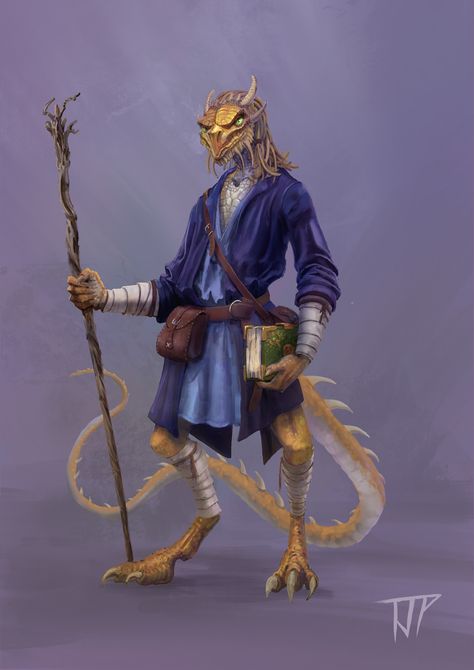 Dragonborn Wizard, Fantasy Stuff, Dnd Stuff, Rpg Characters, Fiction Idea, Male Character, Fantasy Races, Cute Dragons, Fantasy Dragon