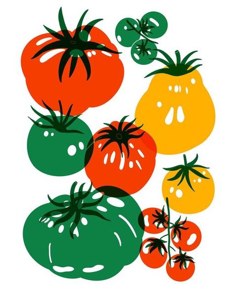 Chili Fest, Tomato Illustration, Tomato Drawing, Fruit Company, Fruit Illustration, Its Nice That, Editorial Illustration, Food Illustrations, Sticker Shop