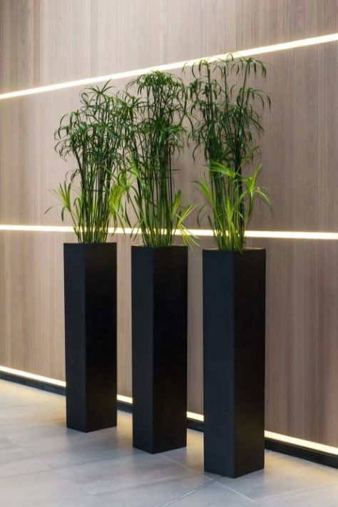 Tall Square Reception Planters In Black Fibrestone Commercial Planters, Contemporary Planters, نباتات منزلية, Gardens Design, Indoor Outdoor Planter, Tall Planters, Square Planters, Concrete Pots, Modern Planters