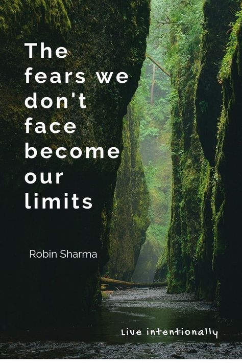 Will you let fear win, or will you face it and move forward? Quote. Overcome fear. Purpose. Success. Pursue your dreams. Limits. Mindset. Live intentionally. The Fears We Don't Face Become Our Limits, Deliverance Scriptures, Workplace Positivity, Overcoming Fear Quotes, Doubt Quotes, Massage Marketing, Moving Forward Quotes, Live Intentionally, Facing Fear