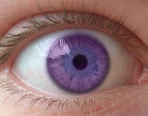 Violet eyes.  Credits unknown. 555 Wallpaper, Violet Eyes, Id Design, Heart Pin, Purple Background, Purple Eyes, Purple Backgrounds, Pretty Eyes, Background Wallpaper