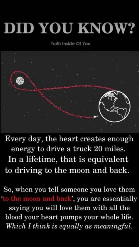 I love you to the moon and back.. ♥ Astronomy Facts, Cool Science Facts, Psychology Fun Facts, Quotes About Love, Science Facts, To The Moon And Back, Psychology Facts, Deep Thought Quotes, Love You All