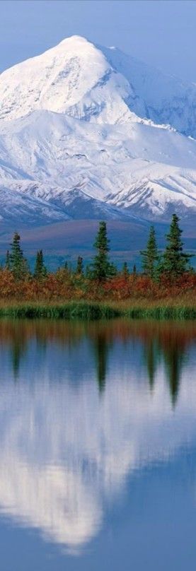 Mt Denali, Mount Denali, Mount Mckinley, Denali Alaska, Alaska Usa, American Continent, Denali National Park, Majestic Mountains, Alam Yang Indah