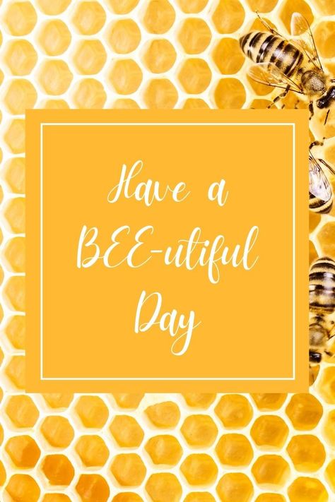 Bee Utiful, Bee Removal, Have A Day, Card Making Tutorials, Back To School, Card Making, Bee, Doodles, Cricut