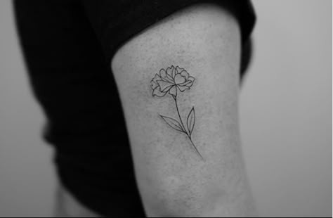 Minimalist Carnation Tattoo, Dainty Carnation Tattoo, Fine Line Carnation, Fine Line Carnation Tattoo, Carnation Line Art, Small Carnation Tattoo, Carnation Bouquet Tattoo, Carnation And Rose Tattoo, Simple Carnation Tattoo