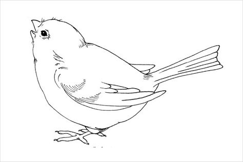 Bird Line Drawing, Bird Template, Valentines Day Coloring Page, Bird Applique, Quilting Stencils, Valentines Day Coloring, Bird Coloring Pages, Bird Crafts, Bird Patterns