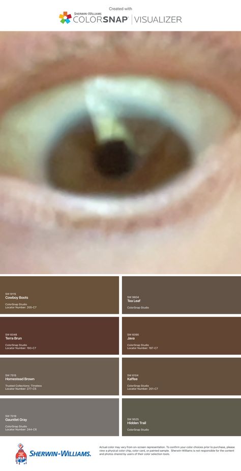 Energy Colors, Violet Brown, Zyla Colors, Color Sorting, Brown Coffee, Medium Purple, Sherwin Williams, My Eyes, Dark Green