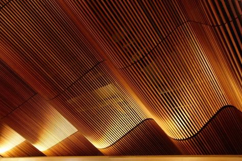 Ippudo Sydney / Koichi Takkada Architects © Sharrin Rees Sindalah Island, Nubian Design, Candy Kiosk, Koichi Takada, Curved Ceiling, Wood Slat Ceiling, Baffle Ceiling, Nanning, Timber Screens