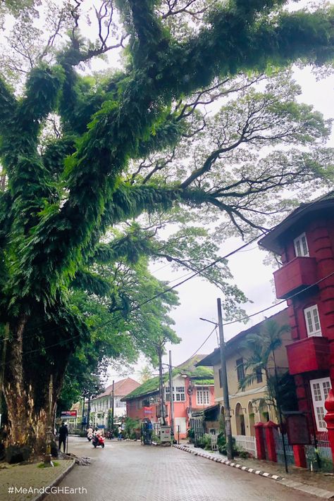 Explore the streets of Fort Kochi as you stay in heritage bungalows near the sea.' #MeAndCGHEarth #FortKochi #Beach #Kochi #PrivateStays #FortKochi #KochiDiaries #PrivateBungalow #Privatebungalows #Privatepool #LuxuryStays #HeritageBungalows Fort Kochi, City Life Photography, Snap Ideas, Tuk Tuk, Historical Landmarks, Kochi, Life Photography, City Life, Private Pool