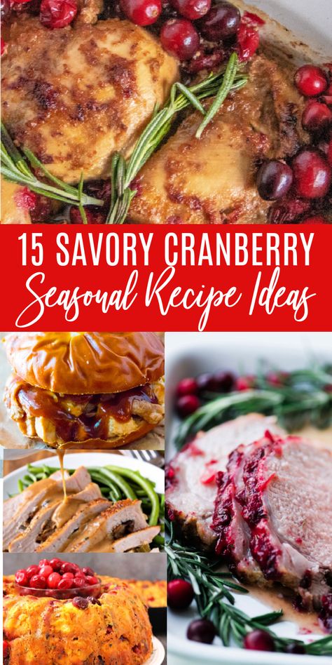 Cranberry Savory Recipes, Christmas Cranberry Recipes, Cranberry Recipes Dinner, Cranberry Main Dish Recipes, Fresh Cranberry Recipes Savory, Recipes Using Cranberry Sauce, Savory Cranberry Recipes, Cranberry Dinner Recipes, Recipes Using Fresh Cranberries