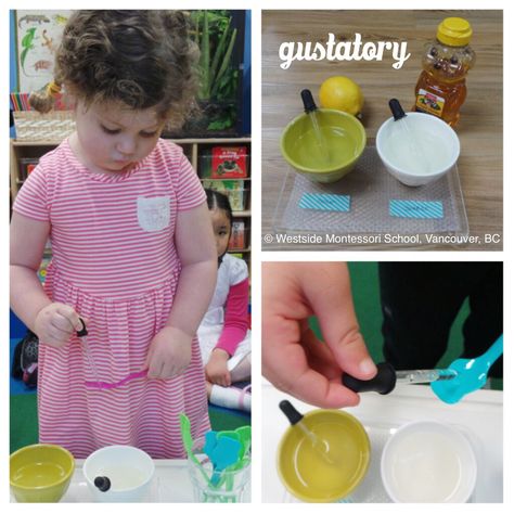 We introduced Montessori Sensorial gustatory work this month, developing and refining the children's sense of taste. Identifying sweet (honey), salty (veggie stock), sour (lemon) and bitter (cranberry juice) was a favourite group activity. Gustatory Sensory Activities, Montessori Sensorial Activities, Sensorial Activities, Healthy Easter Recipes, Sense Of Taste, April Easter, Toddler Montessori, Veggie Stock, Group Project