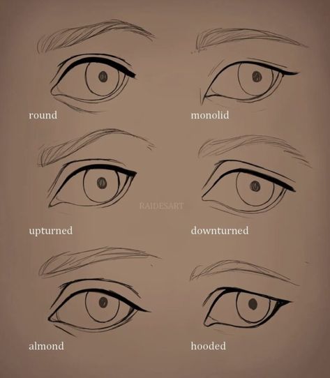 Different Types Of Eyes, Eye Drawing Tutorials, Types Of Eyes, Digital Art Beginner, Drawing Expressions, Anatomy Drawing, Eye Shape, Anatomy Art, Art Tutorials Drawing