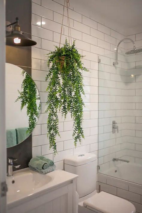 Bathroom Plant Pots Ideas Trendy bathroom plants decor ideas || bathroom decoration with plants Tropical Themed Bathroom, Houseplant Aesthetic, Tropical Bathroom Decor, Decoration With Plants, Bathroom Plant, Bathroom Plants Decor, Best Bathroom Plants, Bathroom Family, Dark Green Bathrooms