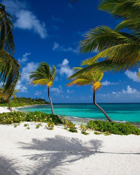 Jumby Bay Antigua, Off The Beaten Path Travel, Antigua Caribbean, Antigua And Barbuda Flag, Caribbean Culture, Caribbean Vacations, Caribbean Beaches, Caribbean Travel, Conde Nast Traveler