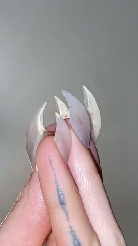 Cool Body Modifications, Cat Claw Acrylic Nails, Gay Nails Design, Claws Aesthetic, Werewolf Nails, Gay Nails, Claw Nails Designs, Cat Claw Nails, Claws Nails