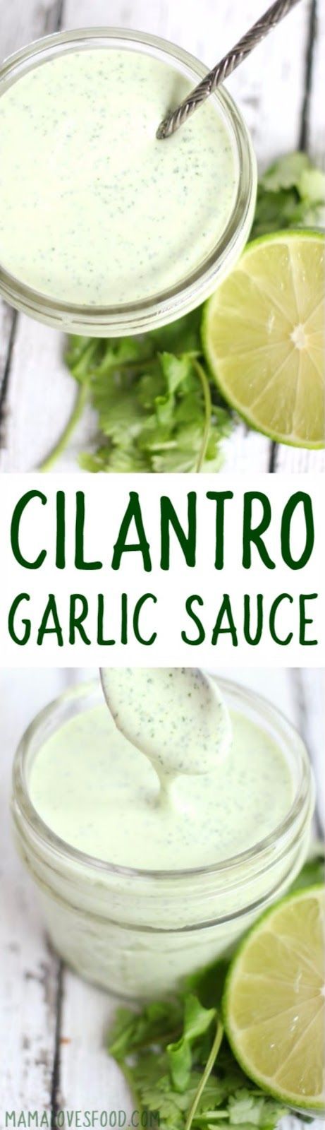 OMG i want to put this on everything!!!  Cilantro Garlic Sauce - Easy Pollo Tropical Inspired Recipe Recipe Fish Tacos, Sauce For Fish, Pollo Tropical, Cilantro Garlic Sauce, Seafood Sauce, Cilantro Sauce, Marinade Sauce, Burger Sauce, Makanan Diet