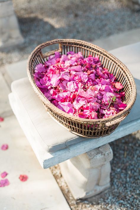 Bougainvillea Beach Wedding, Bougainvillea Wedding Aisle, Bougainvillea Floral Arrangement, Bougainvillea Centerpiece Wedding, Dried Bougainvillea Flowers, Bougainvillea Bridal Bouquet, Bogenvilla Wedding Decor, Bougainvillea Wedding Flowers, Buganvilla Wedding