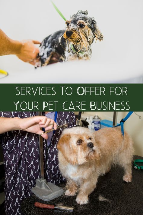 Pet Boarding Business Ideas, Starting A Dog Boarding Business, Doggie Daycare Ideas Business, Dog Daycare Business Plan, Pet Services Business, Dog Sitting Business, Dog Boarding Ideas, Dog Daycare Business, Dog Boarding Facility