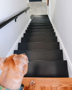 Painted Wood Stairs, Black Painted Stairs, Black And White Stairs, Black Staircase, Painted Staircases, Black Stairs, Stair Makeover, White Stairs, Yellow Brick Home