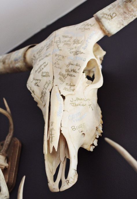 I LOVE this idea. Have guests sign something that can hang in your home, such as a cow skull (: Richie Wedding, Creative Guest Book, Diy Wedding Guest Book, Wedding Guest Book Ideas, Taylor Wedding, Wedding Guest Book Unique, Guest Book Ideas, Cowboy Wedding, Skull Wedding