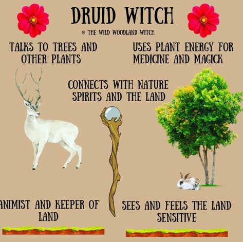 Druidry Spirituality, Celtic Druid Aesthetic, Celtic Witch Aesthetic, Hedge Witch Aesthetic, Celtic Spirituality, Druid Witch, Witch Types, Witch Things, Celtic Druids