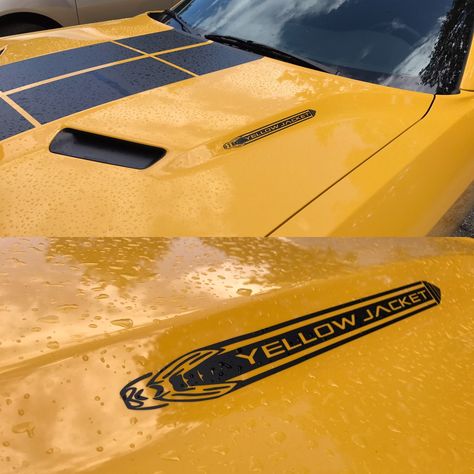 Dodge Challenger Custom, Dodge Challenger Sxt, Challenger Sxt, Plymouth Cuda, Vinyl Graphics, Yellow Jacket, Dodge Challenger, Girl Stuff, Plymouth