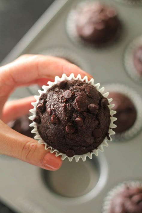 Homemade Chocolate Protein Muffins Shakeology Muffins, Protein Powder Muffins, Protein Breakfast Muffins, Chocolate Protein Muffins, Healthy Chocolate Muffins, High Protein Muffins, Protein Cupcakes, Protein Goals, Low Calorie Protein