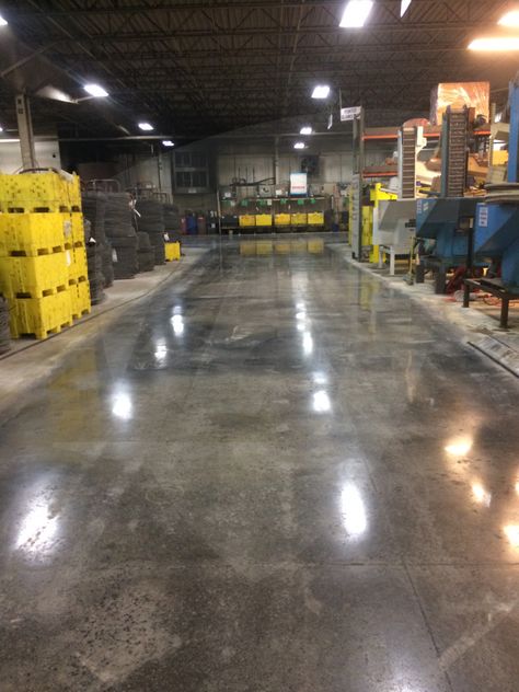 Flooring On Concrete, Polished Concrete Floors, Concrete Sealer, Concrete Floor, Polished Concrete, Vinyl Plank Flooring, Plank Flooring, Residential Interior, Concrete Floors