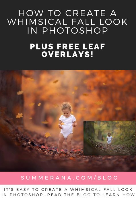 Free Photoshop Overlays, Whimsical Fall, Leaves Falling, Fall Images, Editing Tips, Creative Photoshop, Photo Editing Photoshop, Photoshop Overlays, Red Leaves