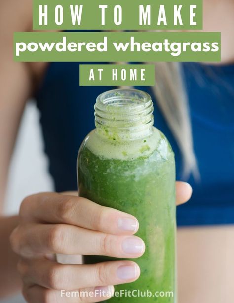 Learn the easy way to make homemade powdered wheat grass as well as the health benefits. Drink it in your juices, water or smoothies for a nutritional boost. #wheatgrass #vegan #healthfood #smoothies #greensmoothies Wheat Grass Recipes, Wheat Grass Benefits, Wheat Grass Powder, Wheatgrass Benefits, Wheatgrass Smoothie, Homemade Protein Powder, Wheat Grass Shots, Wheatgrass Powder, Kitchen Basics