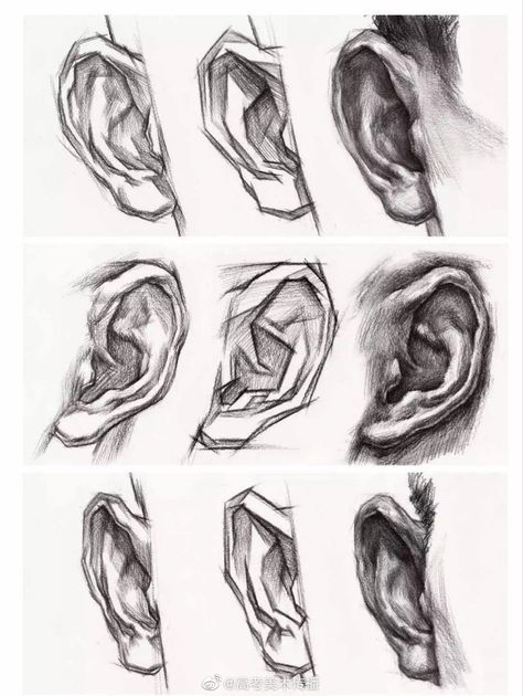 Ear Drawing, Face Portraits, Male Art Reference, Lips Sketch, Art Timeline, How To Draw Ears, Human Body Drawing, Nose Drawing, Body Drawing Tutorial