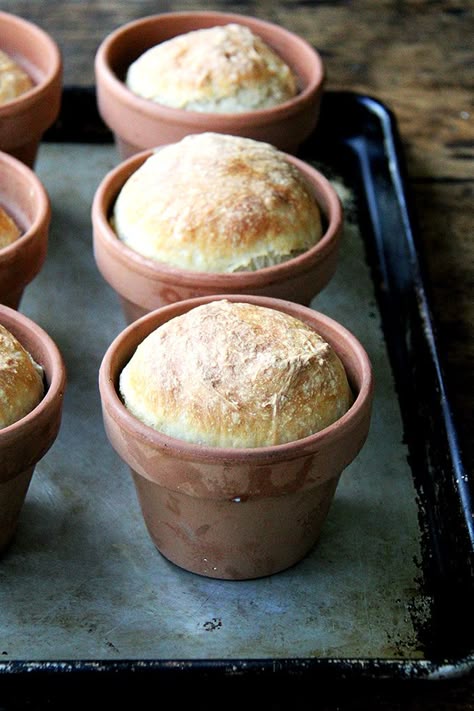 Bread baked in a flowerpot. Brushed with butter, sprinkled with sea salt, does anything say, "I love you Mom!" more than this flower pot bread? // alexandracooks.com Flower Pot Bread, Pot Bread, Peasant Bread, Bread Shop, Westport Ct, Bread Toast, Bread Mix, Loaf Of Bread, Bread Making