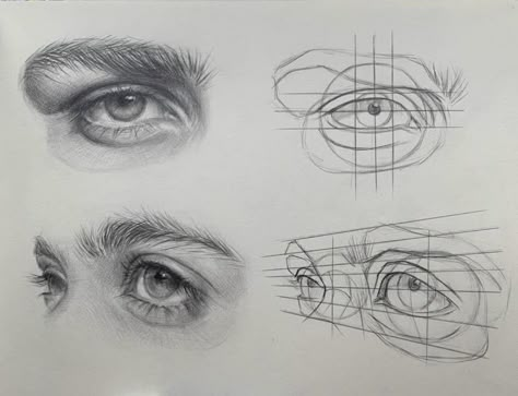 Realistic Eyes Sketch, Eyes 3/4 View, Different Eye Shapes Drawing, Eyes Study Reference, Human Drawing Reference, Portrait Drawing Tips, Face Art Drawing, Realistic Eye Drawing, Human Drawing