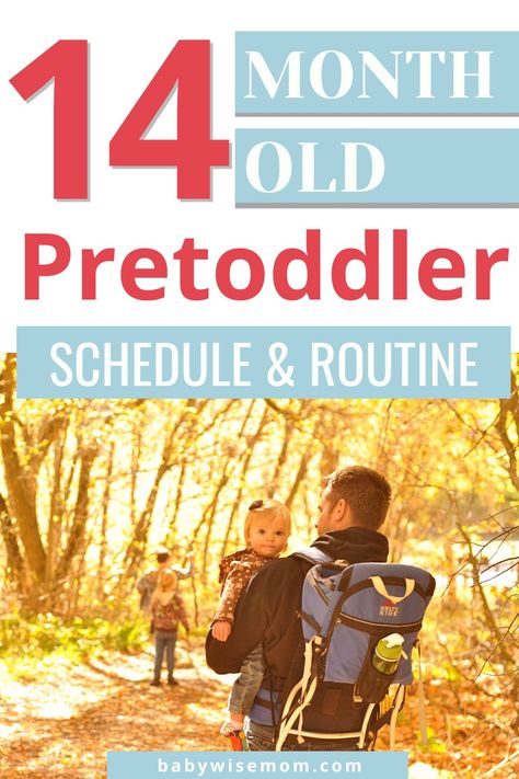 14 month old pretoddler schedule and routine. 14 month old schedule. Baby schedule for baby’s 60-61st weeks. 60-week-old and 61-week-old baby routine and daily life. Learn about when your child is dropping food from the high chair, dropping the morning nap, and teething. Babywise Schedule, Potty Training Help, Baby Routine, Toddler Schedule, Homeschool Routine, Baby Schedule, Help Baby Sleep, Parenting Knowledge, Kids Schedule