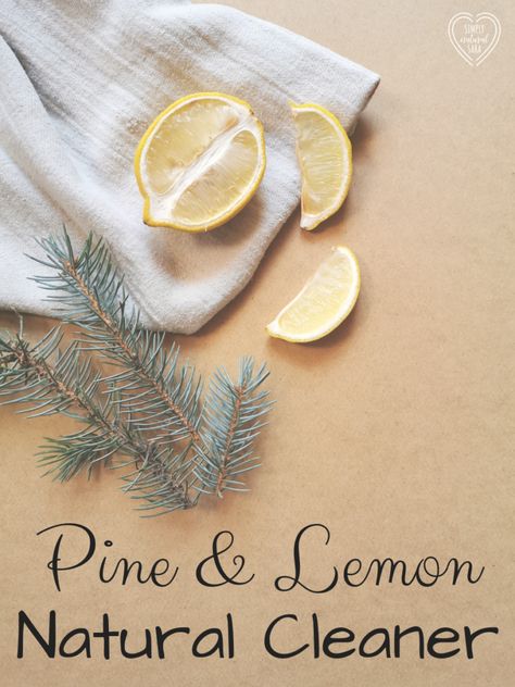 This Pine and Lemon Natural Cleaner works and smells amazing. I don't reserve it for December - I use it all year, because I want it to smell like Christmas all the time, and what's wrong with that? Pine Cleaner, Smell Like Christmas, Braggs Apple Cider, Braggs Apple Cider Vinegar, Vinegar Cleaner, Natural Cleaner, Christmas Cleaning, Clean Homes, Nut Milk Bag