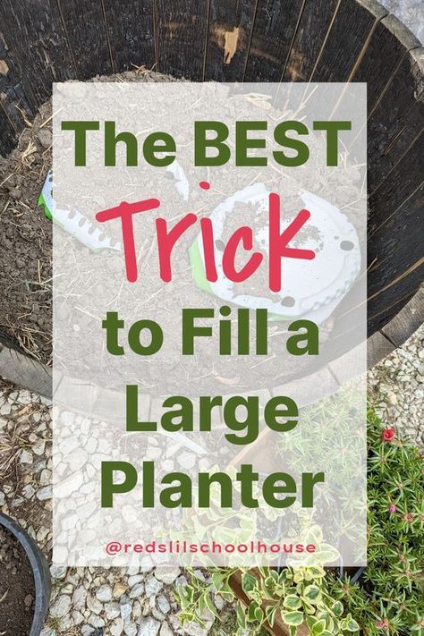 Do you have dreams of large planters filled with beautiful flowers? I know I do! Here's how I fill my planters without spending a fortune. #planterfiller #largeplantertips #howtofillplanterpots #gardeningtips Large Round Planter Ideas, Outdoor Large Potted Plant Ideas, Large Planters Front Of House, What To Put In Large Planters, Using Planters In Landscaping, Flowers In Large Planters, Large Garden Planters Ideas, Planting In Large Planters, How To Fill Tall Planters Flower Pots