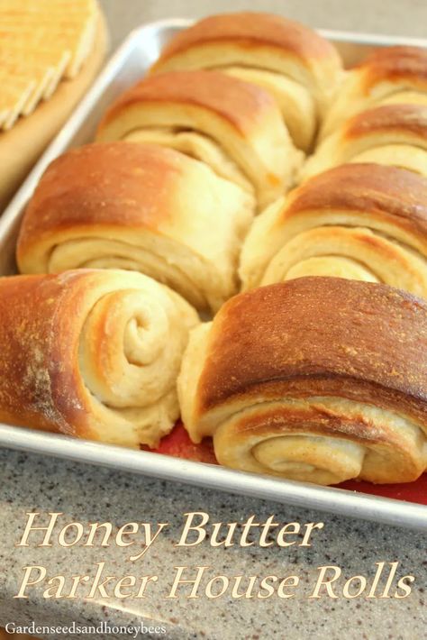 Honey Butter Parker House Rolls - Garden Seeds and Honey Bees Honey Butter Parker House Rolls, Nutter Butter Acorns, Garlic Corn, Sweet Chex Mix, Sweet Chex, Hot Rolls, Corn Rolls, Magic Custard Cake, Bread Garlic