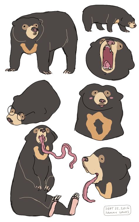 the lovely sun bears Bear Illustration Art, Sammy Savos, Bear Fanart, Sun Drawings, The Sun Drawing, Sun Bear, Sun Drawing, Bear Drawing, Bear Illustration