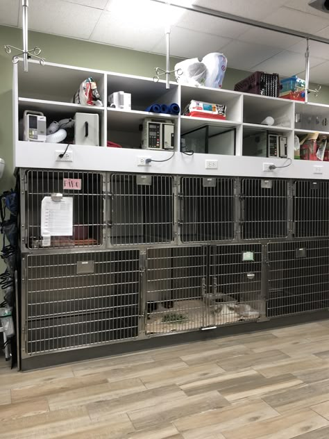 Veterinary Office Design, Veterinary Clinic Design Receptions, Vet Clinic Organization, Veterinarian Design, Veterinary Organization, Veterinary Storage, Veterinary Clinic Design, Vet Clinic Design, Vet Office Decor