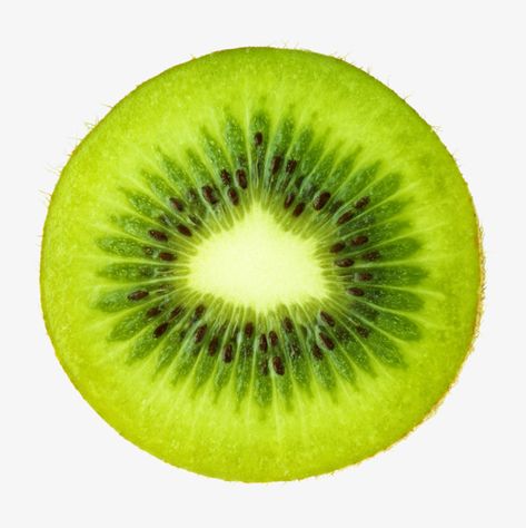 Kiwi Reference, Kiwi Fruit Drawing, Kiwi Painting, Kiwi Drawing, Drawing In Circle, Kiwi Slice, Sliced Fruit, Fruit Png, Circle Collage