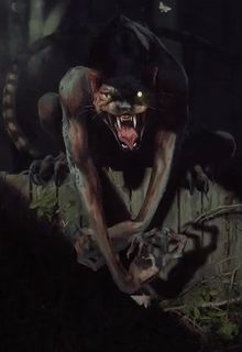 Image - Werecat.gif | Gwent Wiki | FANDOM powered by Wikia Witcher Monsters, Witcher Art, Werewolf Art, Fantasy Beasts, World Of Darkness, Mythical Creatures Art, Film Art, Mystical Creatures, Creature Concept