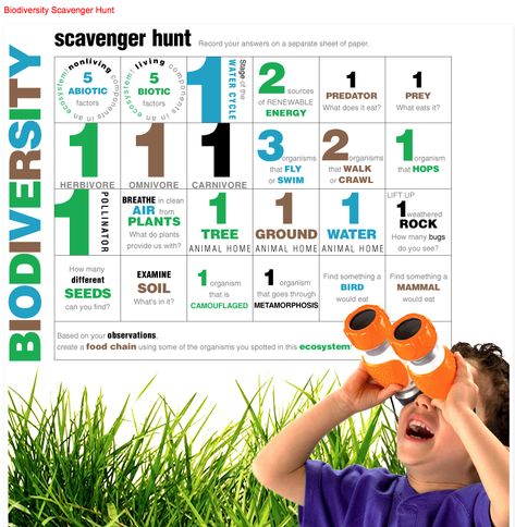 A biodiversity scavenger hunt with printable. Kids hunt for abiotic and biotic factors in their backyard then they create a food chain or web to represent what they discovered in the ecosystem they explored. From E is for Explore! Biotic Factors, Nature Guide, Science Display, Science Inquiry, Nature Education, Computer Science Engineering, Outdoor Education, Scavenger Hunts, Science Curriculum