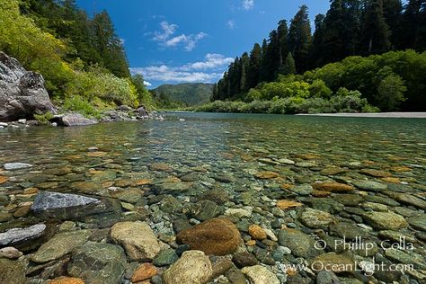 Smith River, the last major free flowing river in California. Trees include the coast redwood, western hemlock, Sitka spruce, grand fir and Douglas fir. Jedediah Smith State Park, California Honey Moons, California Trees, California Scenery, Western Hemlock, Coastal Oregon, Grand Fir, Coast Redwood, History Photography, Flowing River