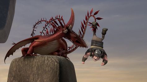 Changewing, a Mystery class dragon from the show Dragons: Riders of Berk Httyd Speed Stinger, Httyd Windshear, Httyd Mystery Class Dragons, Sentinel Dragon Httyd, Httyd Typhoomerang, Song Night, Dragon Movies, Night Terror, Dragon Sketch