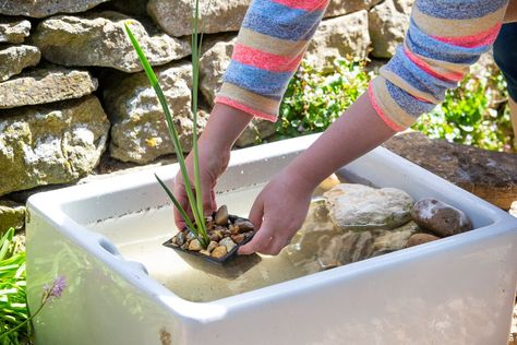 Micro Pond, Butler Sink Garden Ideas, Allotment Pond Ideas, Sink Pond, Mini Pond Ideas, Allotment Pond, Belfast Sink Garden, Belfast Sink Water Feature, Belfast Sink Garden Pond