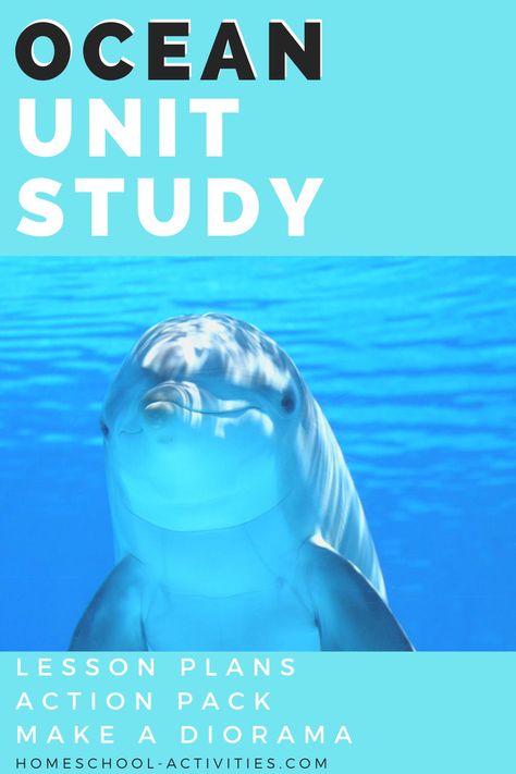 Free Ocean Unit Study, Fish Unit Study, Ocean Education, Ocean Unit Study, Ocean Printables, Homeschool Unit Studies, Make A Volcano, Third Grade Lesson Plans, Ocean Lesson Plans