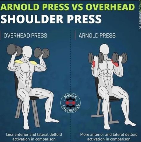 Image Credits To muscle engineered Overhead Shoulder Press, Bodybuilding Plan, Fitness Quotes Women, Body Building Tips, Arnold Press, Photographer Inspiration, Overhead Press, Workout Chart, Shoulder Press